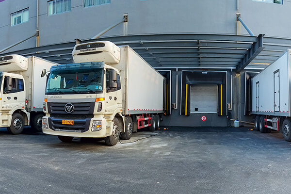 trailer restraint system