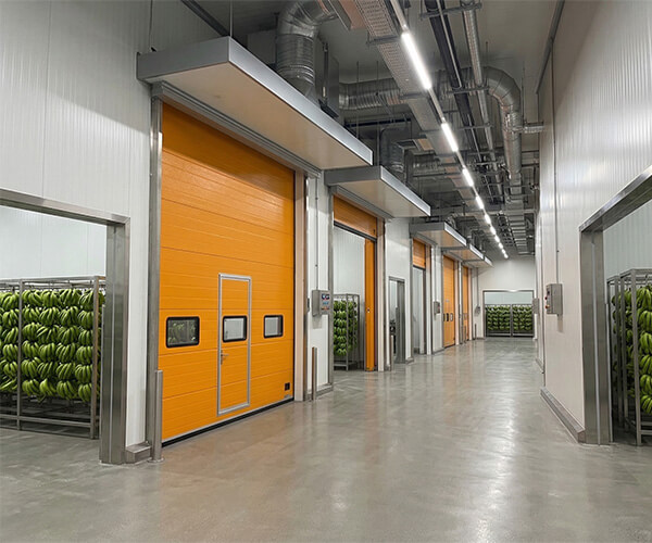 banana ripening room pic