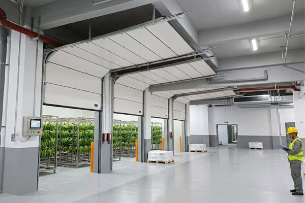 banana ripening room pic