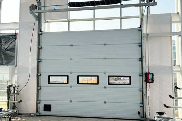 electric sectional door pic